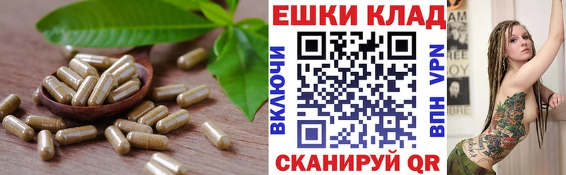Ecstasy Punisher  дарнет шоп  Алапаевск 