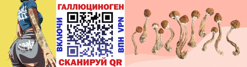 Галлюциногенные грибы прущие грибы где купить наркоту нарко площадка как зайти Алапаевск